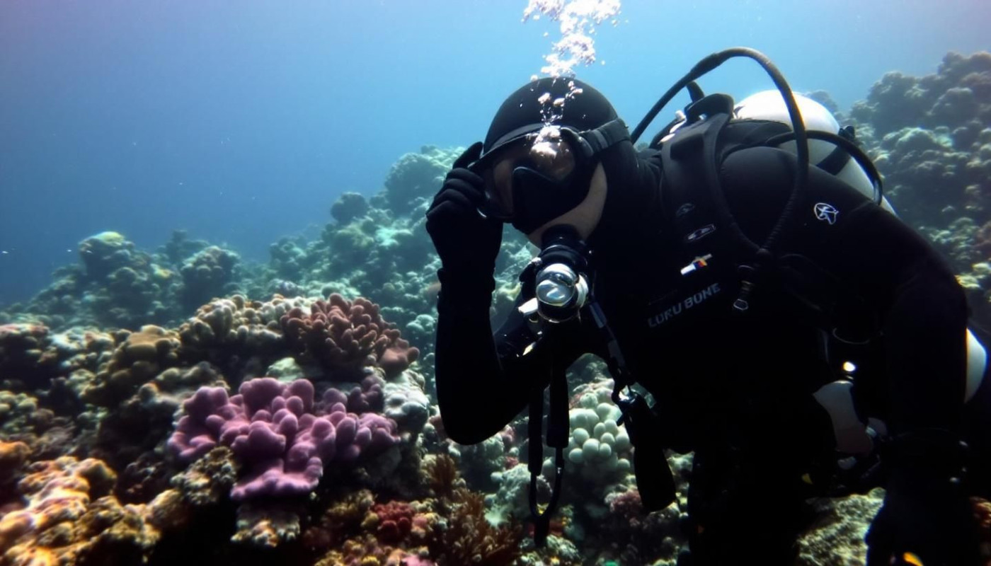 Scopri come scegliere la muta ideale per le immersioni subacquee